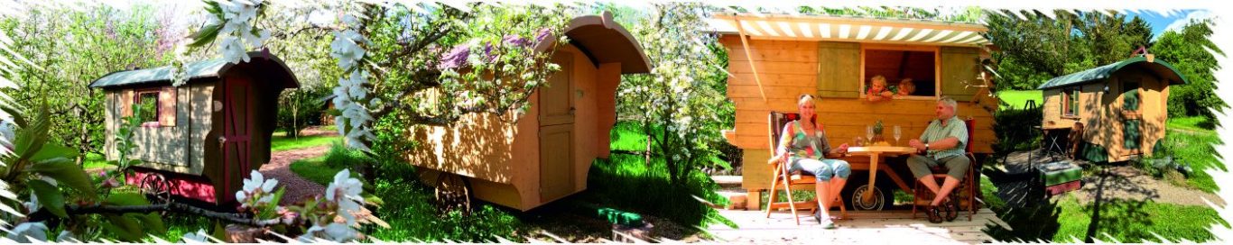 Verschiedene Schäferwagen in einem blühenden Garten. Ideal für Familien.